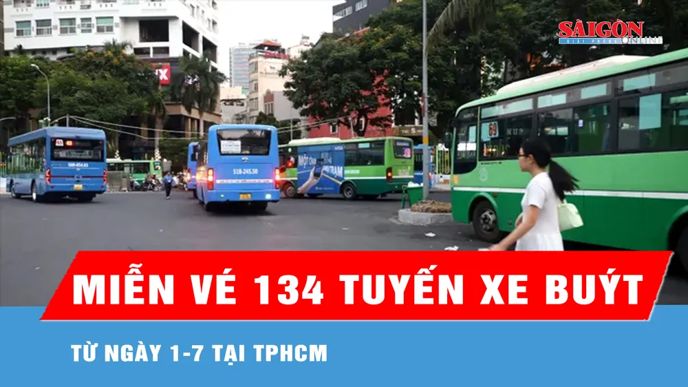 Từ ngày 1-7: TPHCM miễn vé 134 tuyến xe buýt 