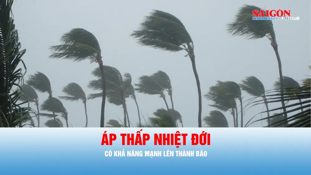 Podcast tin chiều ngày 1-7: Áp thấp nhiệt đới có khả năng mạnh lên thành bão