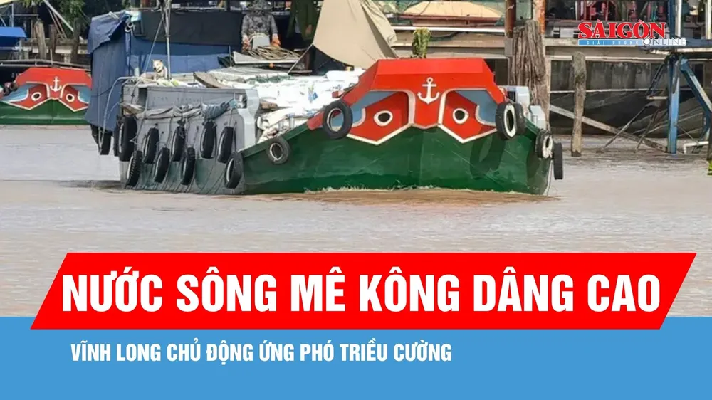 Nước sông Mê Kông dâng cao, Vĩnh Long chủ động ứng phó triều cường 