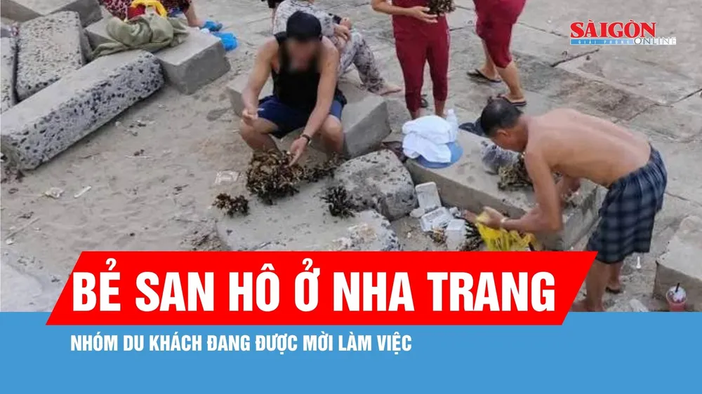  Khánh Hòa: Đã xác định nhóm du khách bẻ san hô ở vịnh Nha Trang 