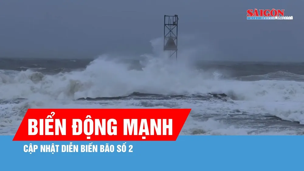 Bão số 2 gây biển động mạnh, sóng biển cao 2-4m