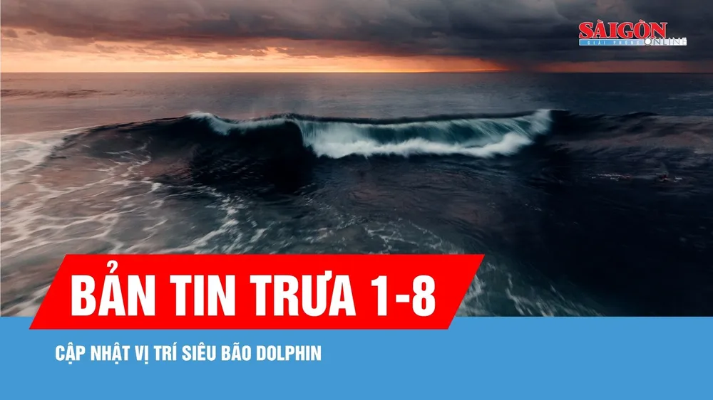 Bản tin trưa 1-8: Cập nhật vị trí siêu bão Dolphin