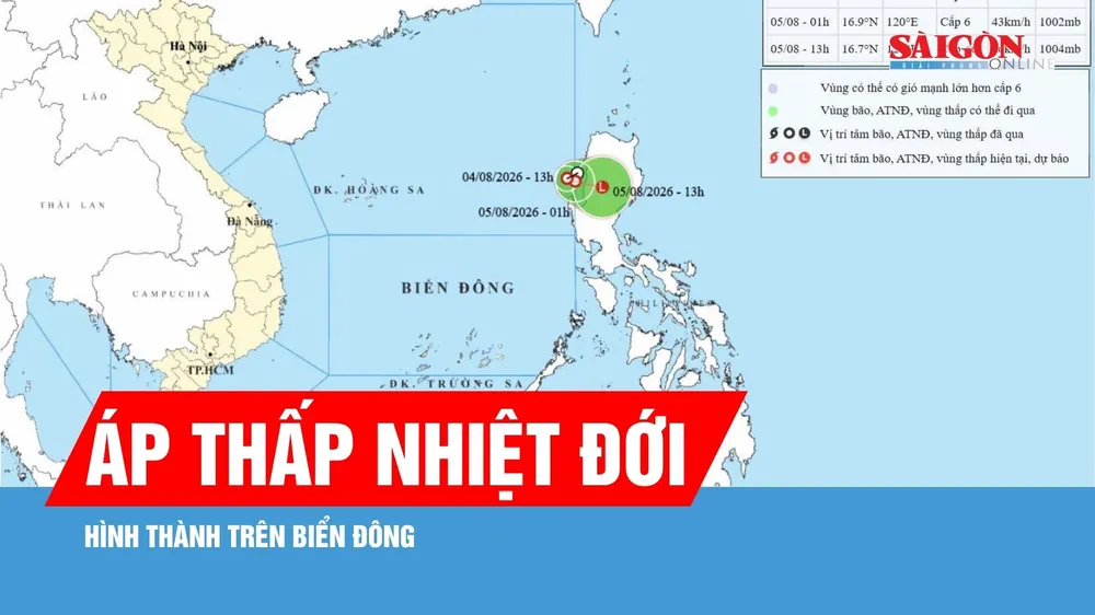 Áp thấp nhiệt đới xuất hiện trên Biển Đông: Cảnh báo gió giật cấp 8, biển động