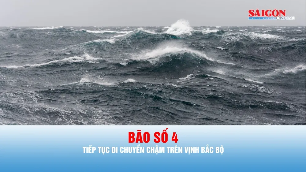 Podcast bản tin trưa 22-8: Ảnh hưởng bão số 4, biển động mạnh, sóng biển cao đến 4m