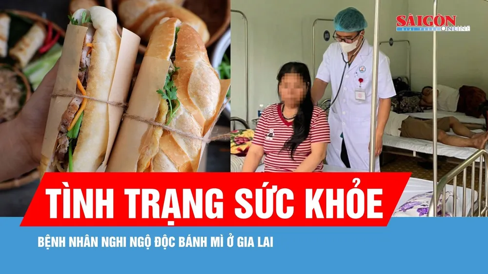 Vụ nhiều người nhập viện sau ăn bánh mì ở Gia Lai: Đã có 168 bệnh nhân ra viện 