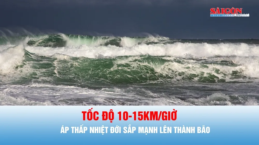 Podcast bản tin trưa 31-8: Dự báo áp thấp nhiệt đới mạnh lên thành bão cấp 8