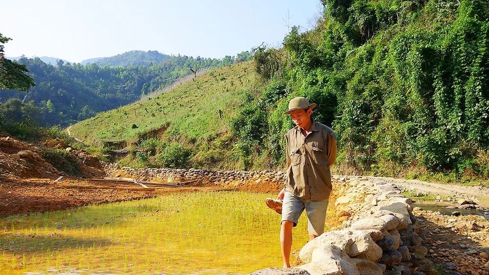 Buồn ở đất “vàng vui”
