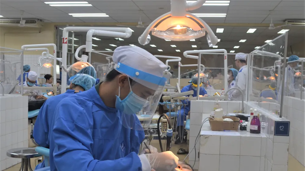Sinh viên ngành Răng hàm mặt Trường ĐH Y dược TPHCM trong giờ học thực hành - Ảnh: THANH HÙNG