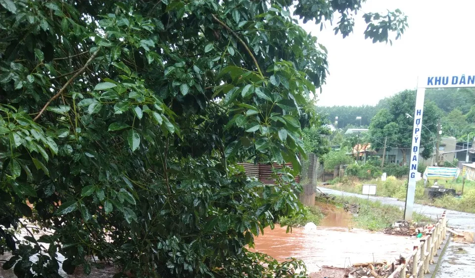 Bình Phước: Phổ biến ứng phó lũ khẩn cấp qua Zalo đến người dân 