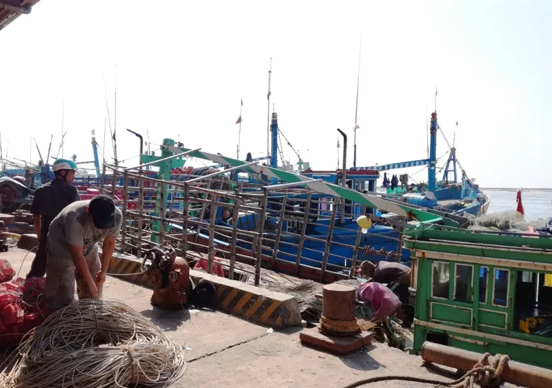 Ngư dân tỉnh Bình Thuận tất bật ra khơi trở lại sau cơn bão số 12.