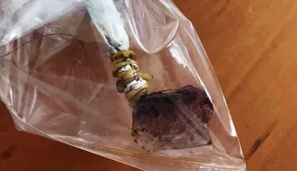Bé gái 5 tuổi tử vong, nghi ăn phải bả chó giống cây kẹo mút