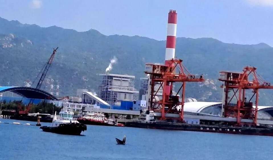 Cá voi xuất hiện trên vùng biển Bình Thuận