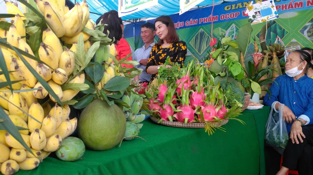 Những sản phẩm nông nghiệp đặc thù, đặc biệt là trái thanh long của huyện Hàm Thuận Bắc.