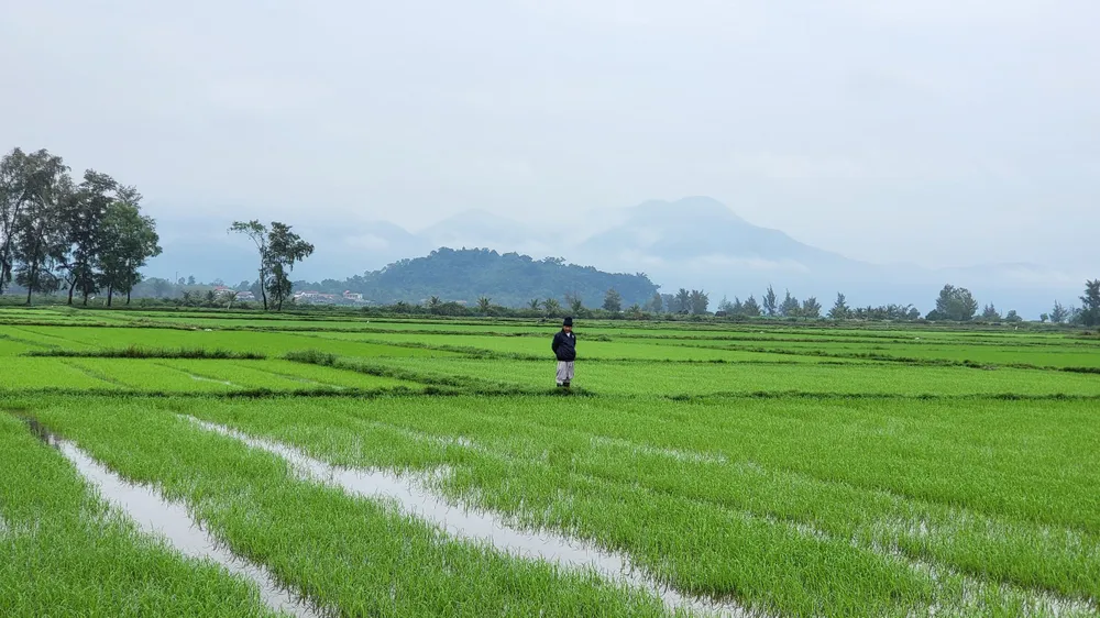 Khánh Hòa chuyển đổi hàng nghìn hecta đất phi nông nghiệp sang đất nông nghiệp