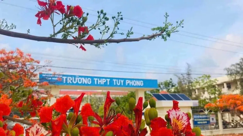 Trường THPT Tuy Phong (tỉnh Bình Thuận)