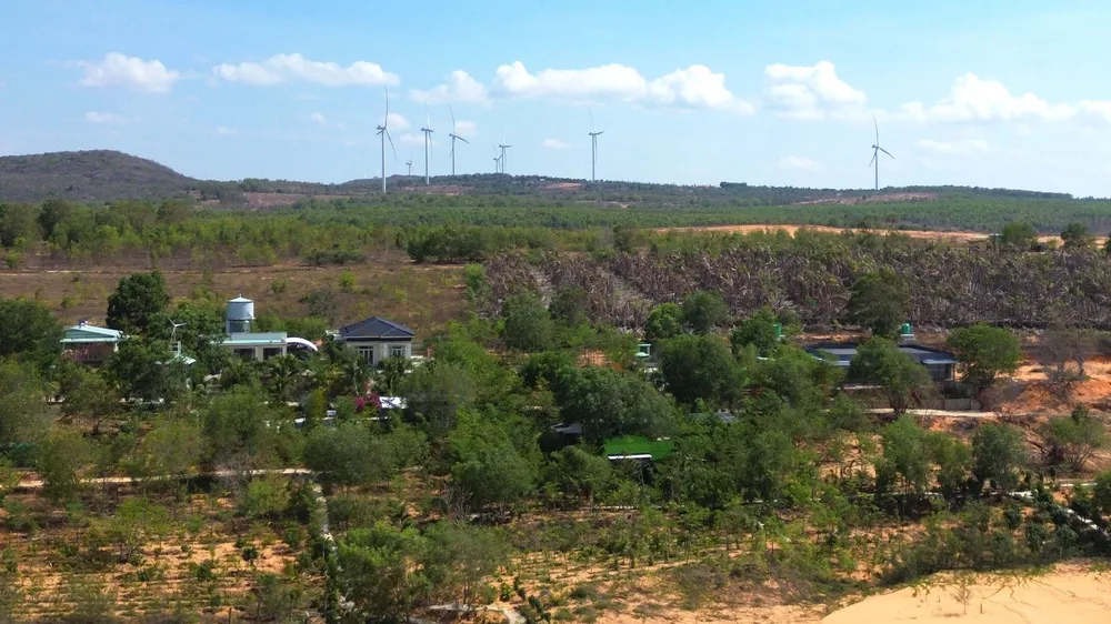 Khoảng 73.000m2 đất tại khu vực giáp ranh thắng cảnh nổi tiếng đồi Cát Bay Mũi Né (phường Mũi Né) đã bị nhiều đối tượng lấn chiếm