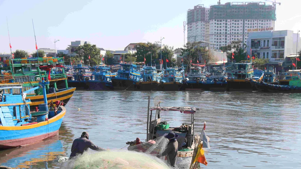 Lâm Đồng hiện là 1 trong 3 ngư trường trọng điểm của cả nước
