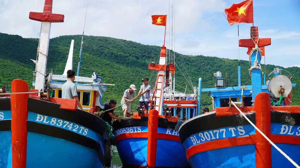 Tàu thuyền tỉnh Khánh Hòa được phép hoạt động trở lại