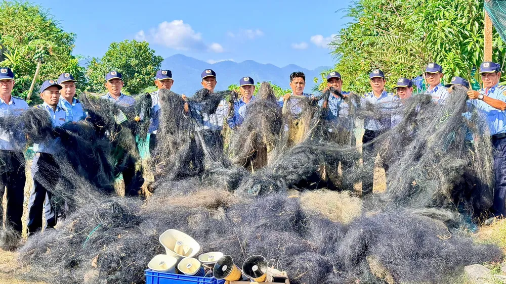 Cần hoàn thiện các giải pháp bảo tồn chim yến Khánh Hòa