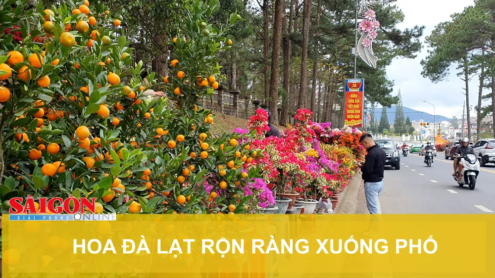 Hoa Đà Lạt rộn ràng xuống phố
