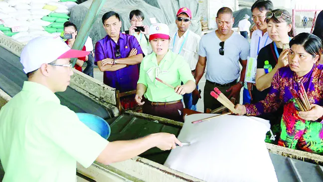 Tăng cường hợp tác, tìm giải pháp tối ưu hướng tới nền nông nghiệp xanh bền vững