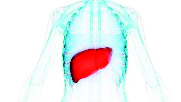 Phát hiện protein mới chống ung thư gan