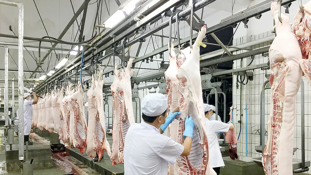 Cảnh báo thiếu nguồn cung thịt heo cuối năm