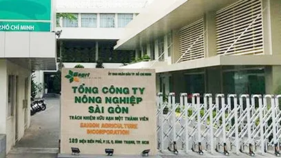 Khởi tố thêm 2 bị can trong vụ án xảy ra tại Sagri