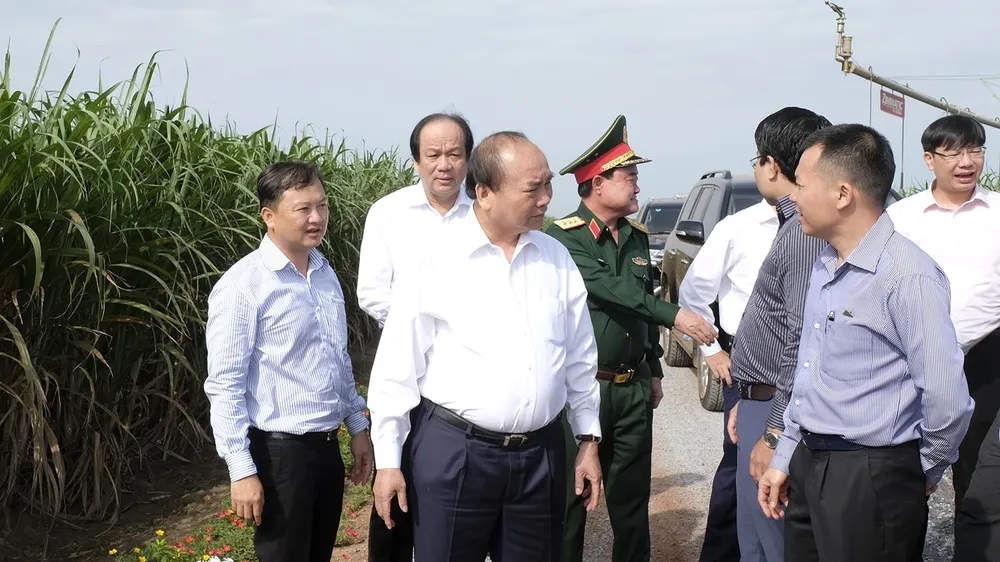Thủ tướng thăm cánh đồng mía tại xã Thành Long, huyện Châu Thành. Ảnh: VGP/Quang Hiếu