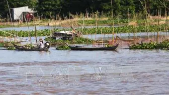 Lũ về miền Tây