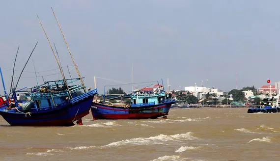 Thiệt hại tiền tỷ khi tàu bị mắc cạn