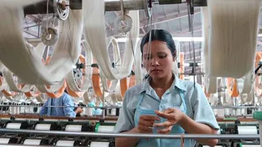 Thiếu nguyên liệu sản xuất tơ tằm