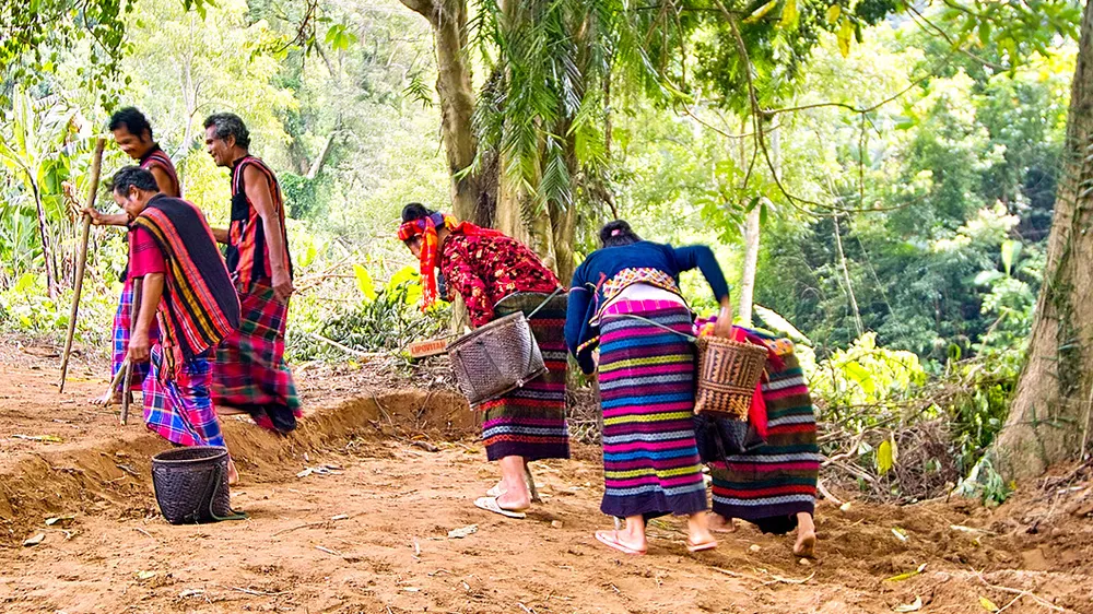 Lễ hội trỉa lúa và hò thuốc cá là di sản văn hóa phi vật thể quốc gia