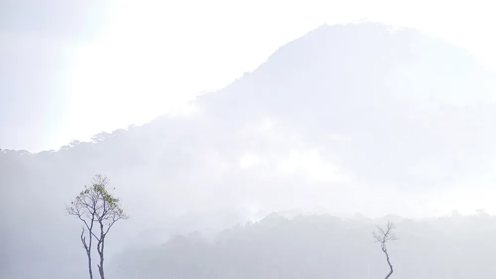 Đi một mình