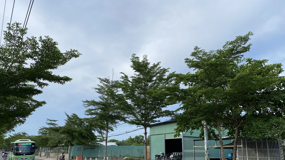 Mặt tiền đường Nguyễn Văn Tạo, từ cầu Hiệp Phước đến cầu Kênh Lộ, hầu hết là nhà tạm, mái tôn vách tôn