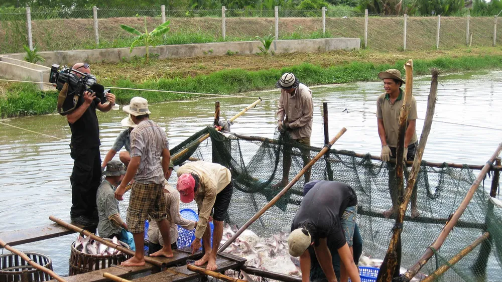 Đồng Tháp khôi phục sản xuất, phát triển kinh tế