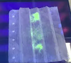 Khẩu trang phát hiện virus SARS-CoV-2