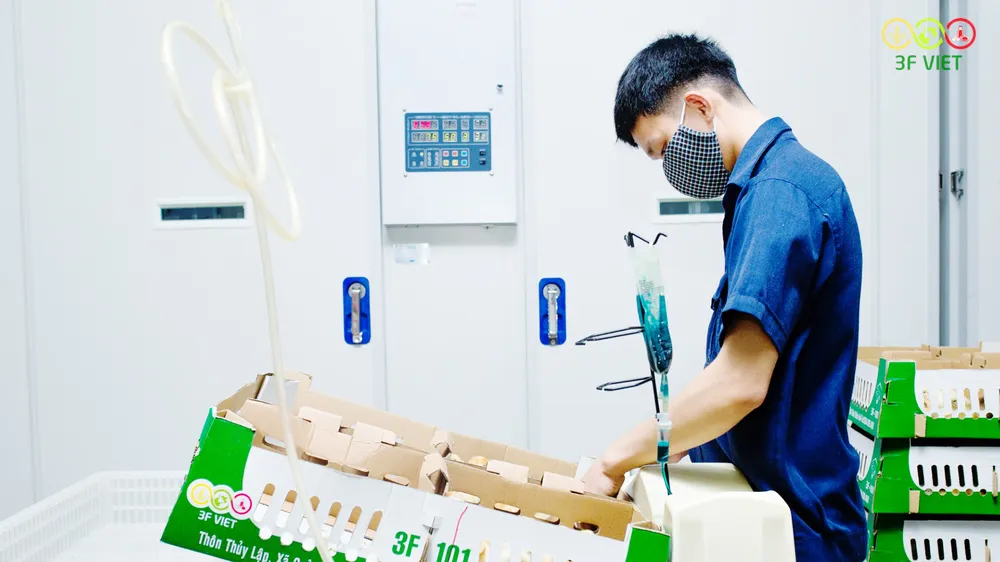 Triển vọng phục hồi ngành thực phẩm, đồ uống 