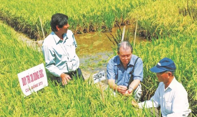 100 năm hạt ngọc châu thổ