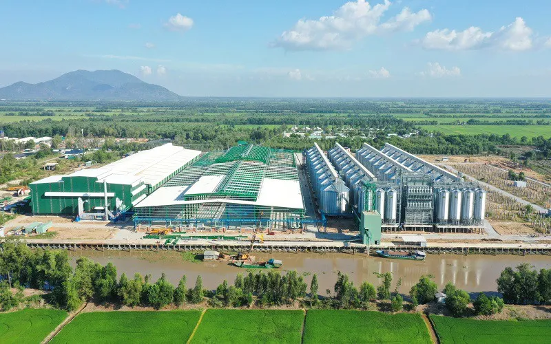 Hướng đi mới của ngành lúa gạo
