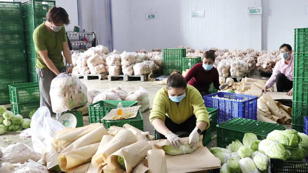 Liên kết nâng giá trị nông sản