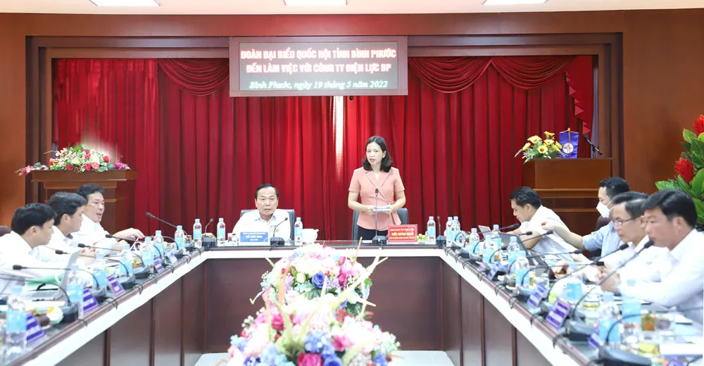 Tổng công ty Điện lực Miền nam (EVNSPC): Nhiều nỗ lực hiệu quả trong công tác cung ứng điện