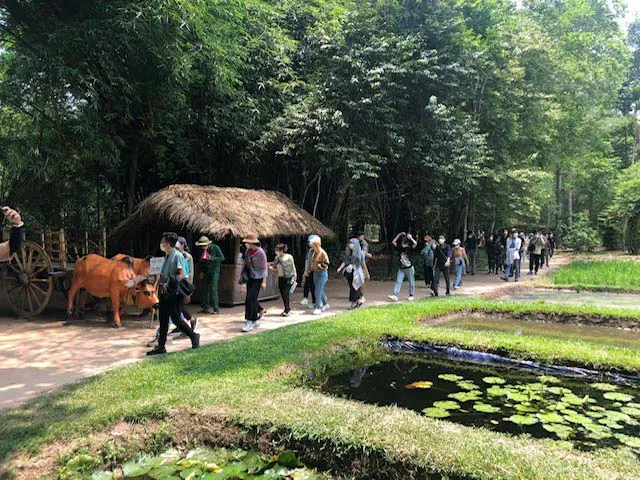TPHCM tìm giải pháp phát triển du lịch y tế