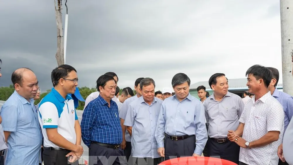 Bến Tre: Cần chuyển tư duy sản xuất nông nghiệp sang kinh tế nông nghiệp