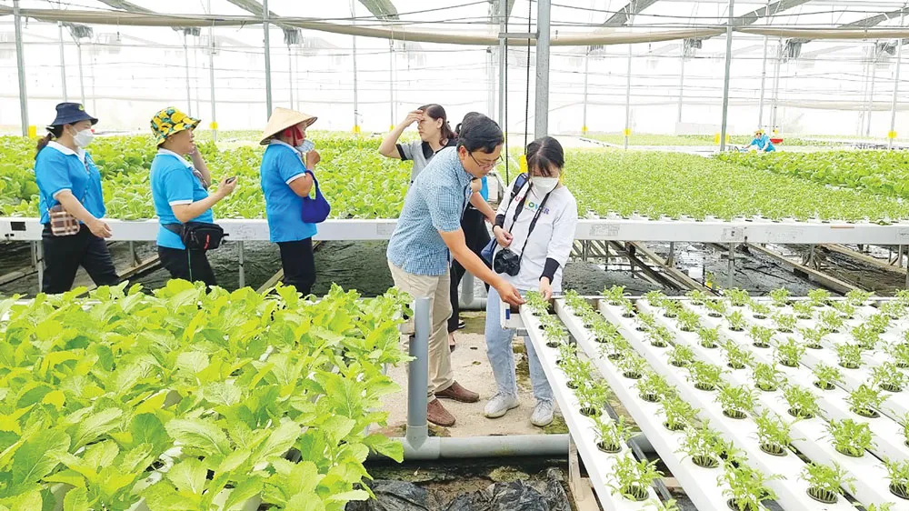 Nhà nông thời 4.0