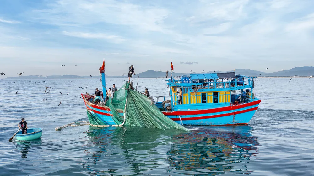 Gỡ “thẻ vàng” cho thủy sản - Bài 2: 180 ngày chạy nước rút! 