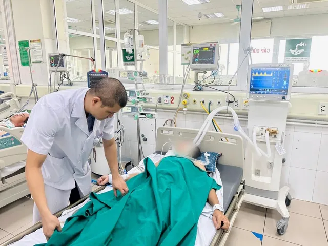Hôn mê, mắc thể dại hung dữ do mèo cắn