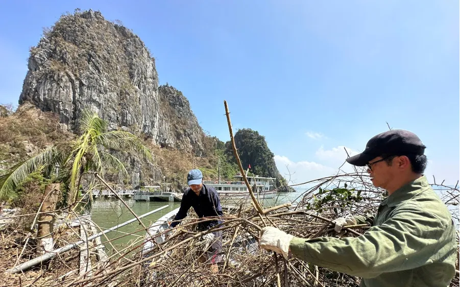 Thu dọn rác thải, cành cây bị gãy đổ tại các đảo trên Vịnh Hạ Long sau bão