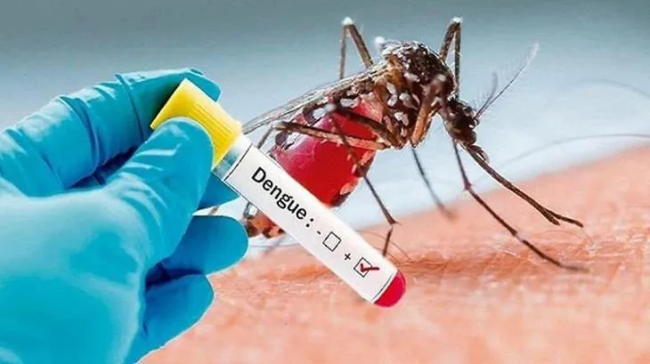 Đưa vaccine sốt xuất huyết vào tiêm miễn phí cần thực hiện theo Luật Phòng chống bệnh truyền nhiễm