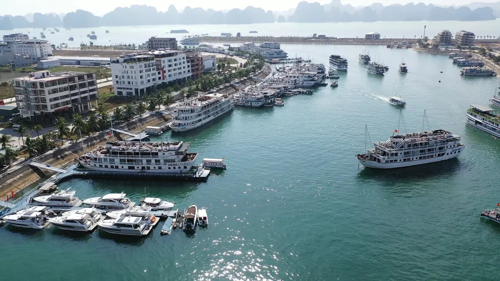 Quảng Ninh: Tạm dừng cấp phép tàu du lịch tham quan vịnh Hạ Long